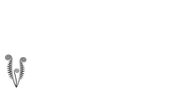 Waiheke Festival